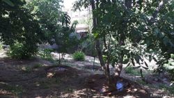 ویلا باغ گردو ، دماوند
ویلا باغ گردو ، دماوند