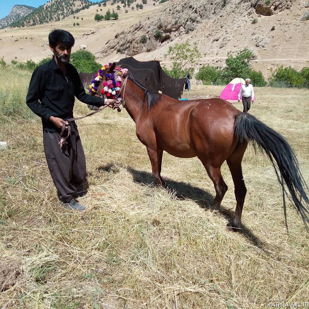 اقامتگاه بومگردی "الورزبوم" سیاه چادر 2