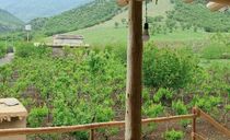 اقامتگاه بومگردی "کلدر" اتاق 1 اقامتگاه بومگردی "کلدر" اتاق 1