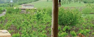 اقامتگاه بومگردی "کلدر" اتاق 4 اقامتگاه بومگردی "کلدر" اتاق 4