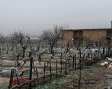 اقامتگاه بومگردی "کلدر" اتاق 6 اقامتگاه بومگردی "کلدر" اتاق 6