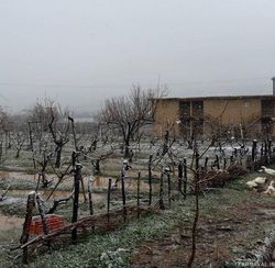 اقامتگاه بومگردی "کلدر" اتاق 6 اقامتگاه بومگردی "کلدر" اتاق 6