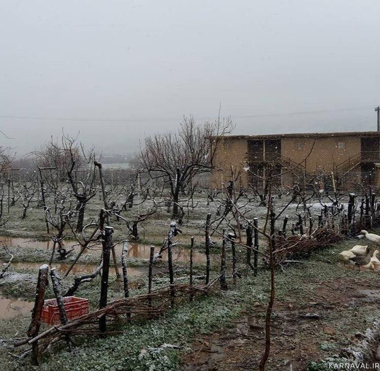 اقامتگاه بومگردی "کلدر" اتاق 8