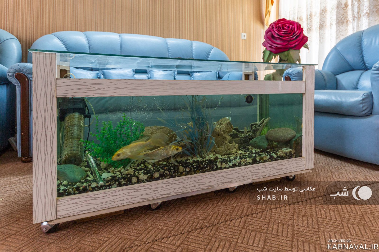 ویلایی تمیز با دسترسی عالی (فول امکانات) ۲ پارکینگ