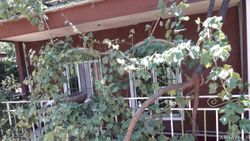 اقامتگاه "نگین هورامان" سوییت طبقه دوم اقامتگاه "نگین هورامان" سوییت طبقه دوم