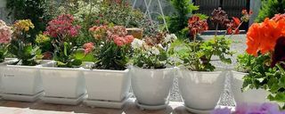 ویلا دوخوابه دربست ویلا دوخوابه دربست