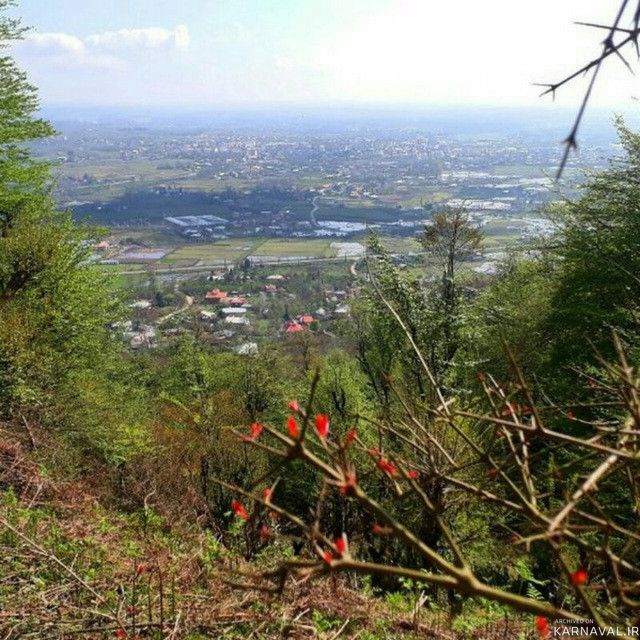 ویلا تک خواب سردار جنگل (2)