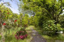 مجموعه اقامتی زمرد در آستارا
مجموعه اقامتی زمرد در آستارا