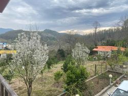 ویلا جنگلی نامدار۱ ویلا جنگلی نامدار۱