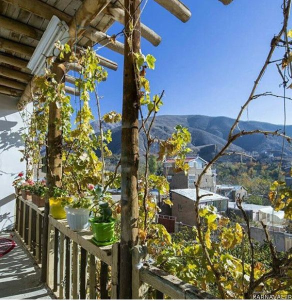 اقامتگاه بومگردی "چنارستان" اتاق نیلوفر