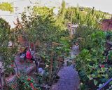 اقامتگاه بومگردی "چنارستان" اتاق نیلوفر اقامتگاه بومگردی "چنارستان" اتاق نیلوفر