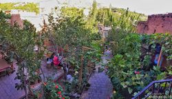 اقامتگاه بومگردی "چنارستان" اتاق نیلوفر اقامتگاه بومگردی "چنارستان" اتاق نیلوفر