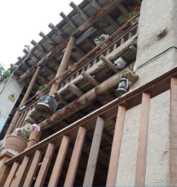 اقامتگاه بومگردی "چنارستان" اتاق ارکیده اقامتگاه بومگردی "چنارستان" اتاق ارکیده