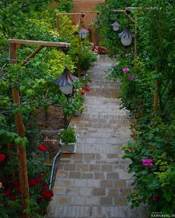 اقامتگاه بومگردی "چنارستان" اتاق ارکیده اقامتگاه بومگردی "چنارستان" اتاق ارکیده