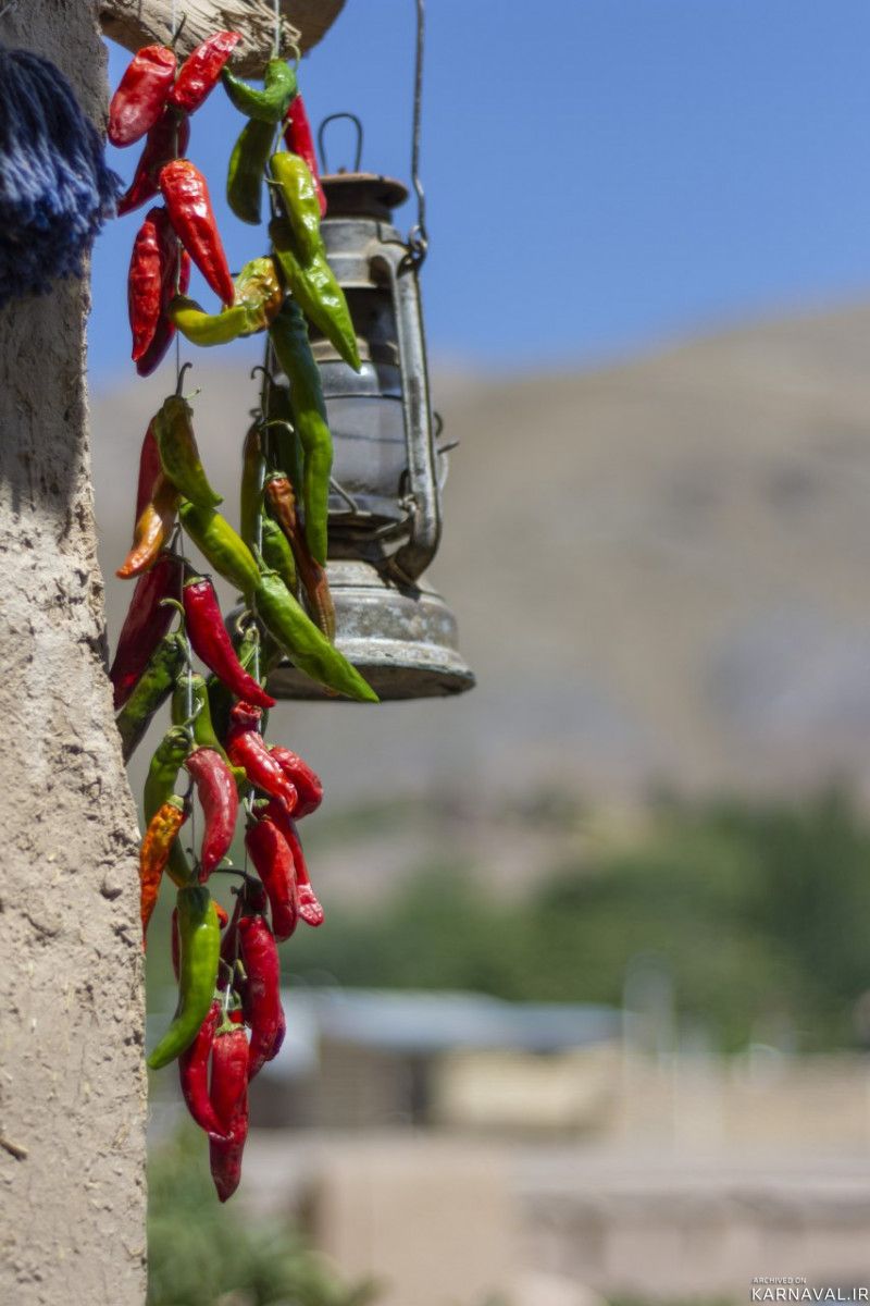 اقامتگاه بومگردی "چنارستان" اتاق ارکیده