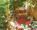 اقامتگاه بومگردی "چنارستان" اتاق شقایق اقامتگاه بومگردی "چنارستان" اتاق شقایق