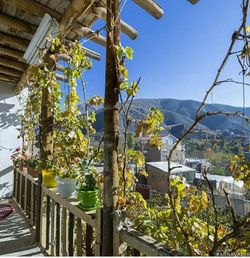 اقامتگاه "چنارستان" اتاق شقایق اقامتگاه "چنارستان" اتاق شقایق