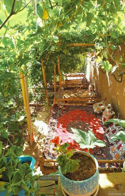 اقامتگاه "چنارستان" اتاق شقایق اقامتگاه "چنارستان" اتاق شقایق