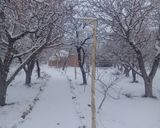 اقامتگاه بومگردی "درخانیاب" اتاق سنتی 3 اقامتگاه بومگردی "درخانیاب" اتاق سنتی 3