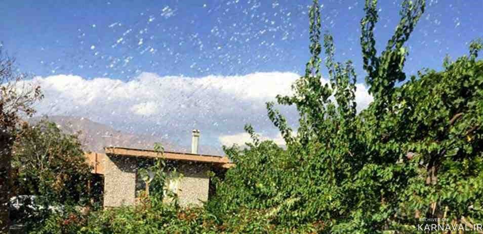 اقامتگاه "دنیای قدیم" اتاق 75 متری اقامتگاه "دنیای قدیم" اتاق 75 متری