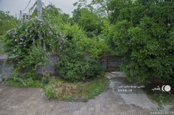 واحد جنگلی با تراس و حیاط با چشم انداز زیبا واحد جنگلی با تراس و حیاط با چشم انداز زیبا