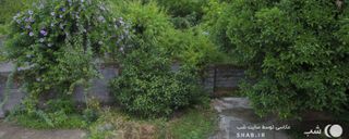 واحد جنگلی با تراس و حیاط با چشم انداز زیبا واحد جنگلی با تراس و حیاط با چشم انداز زیبا