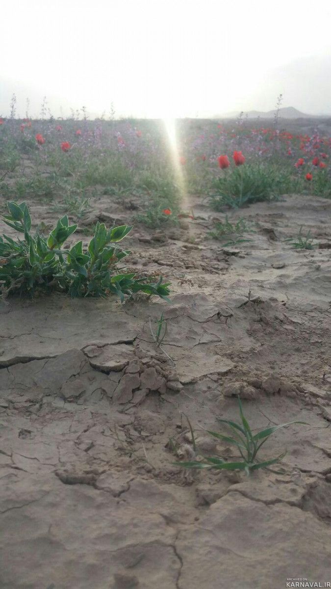 اقامتگاه بوم گردی "غور قوژد" اتاق ماهرخ اقامتگاه بوم گردی "غور قوژد" اتاق ماهرخ
