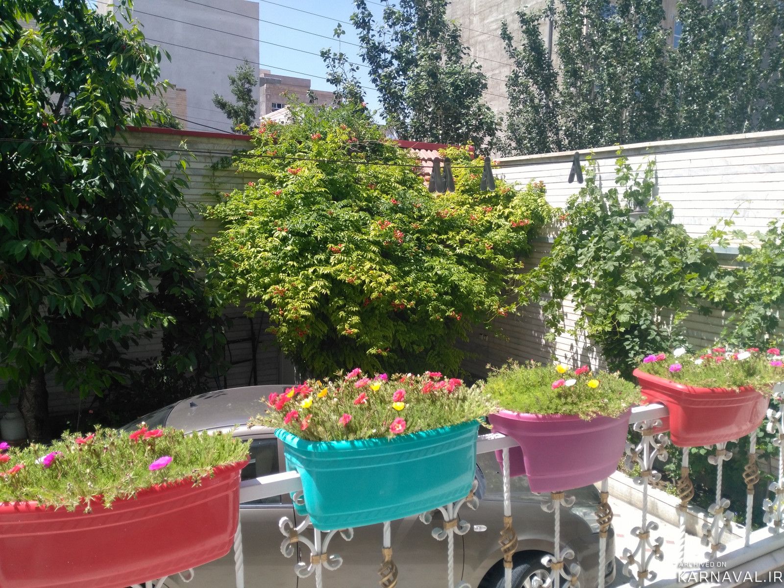 سوئیت گرین لایف لاکچری واحد 3