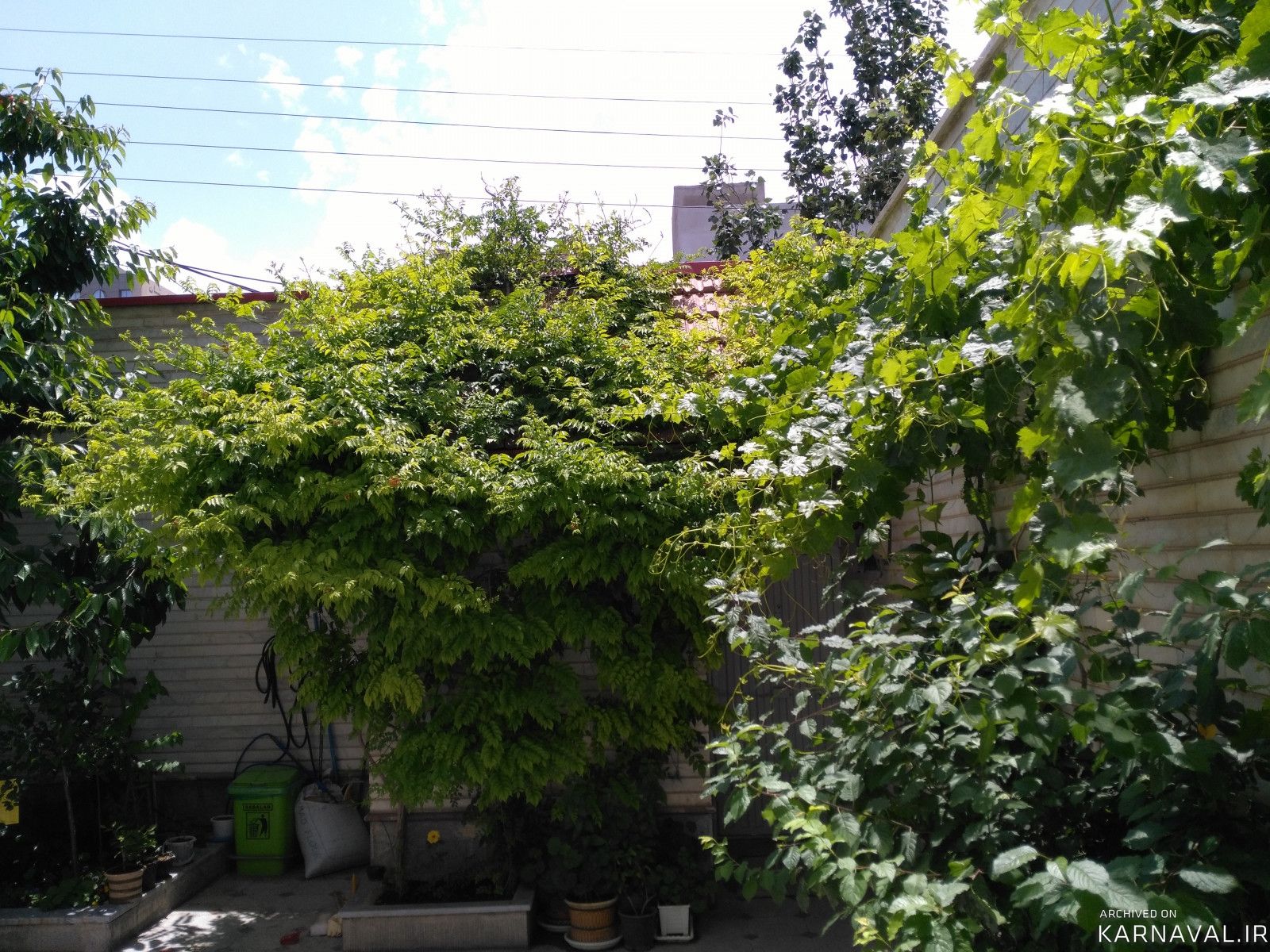 سوئیت گرین لایف لاکچری واحد 3