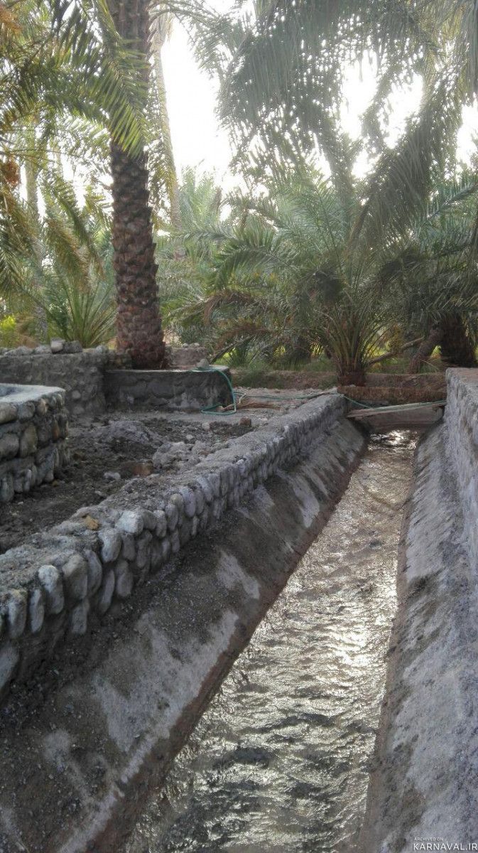 اقامتگاه بومگردی "نبکا" اتاق خرما