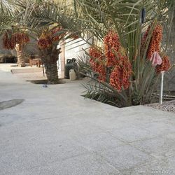 اقامتگاه بومگردی "علیشاهی" اتاق 40 متری اقامتگاه بومگردی "علیشاهی" اتاق 40 متری