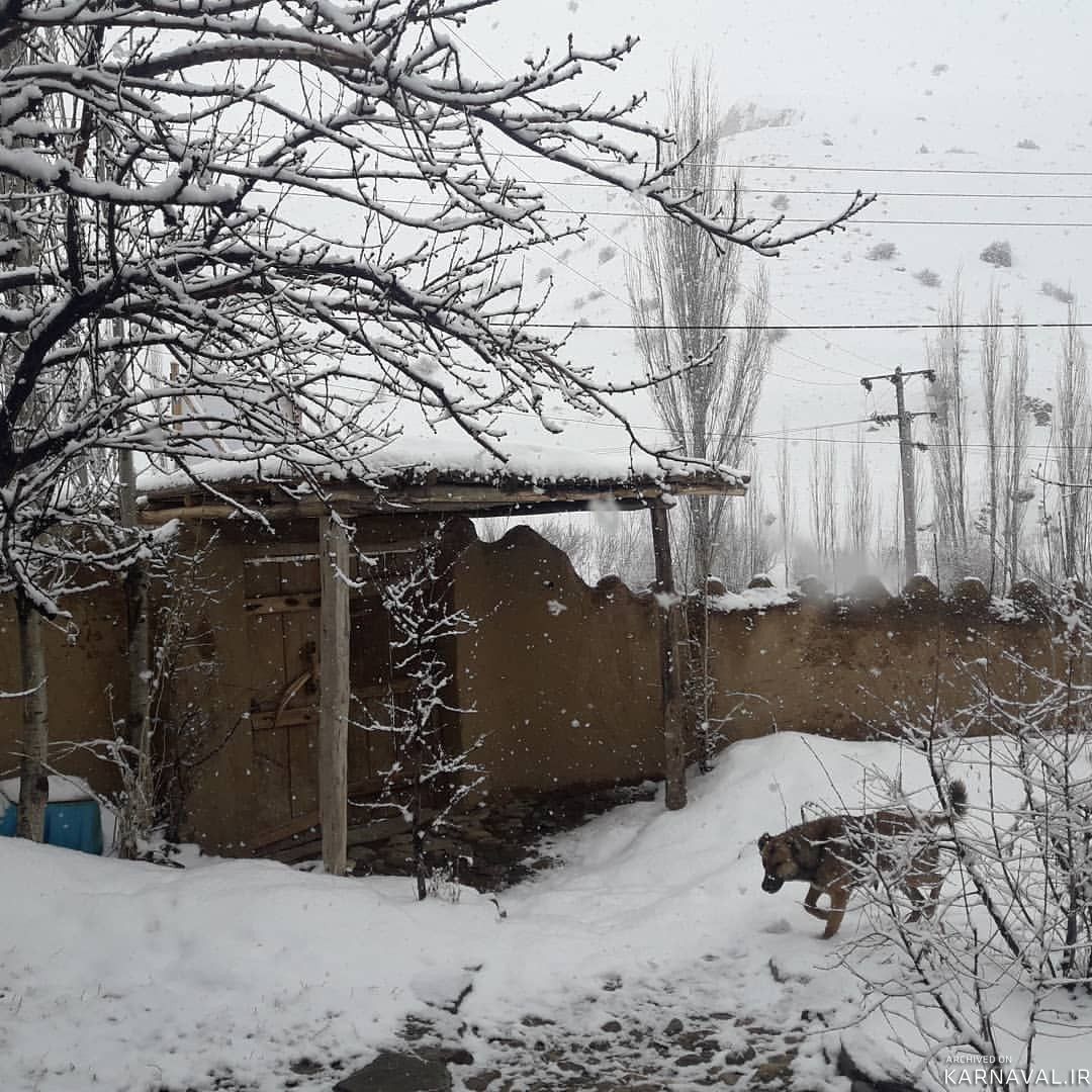اقامتگاه بومگردی "وردیمه" اتاق سنتی 1 اقامتگاه بومگردی "وردیمه" اتاق سنتی 1
