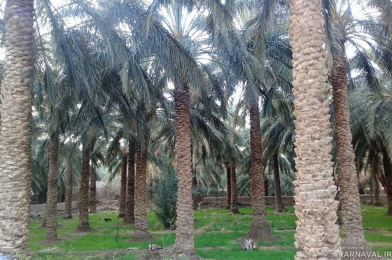 اقامتگاه بوم گردی "نخلستان" اتاق سنتی