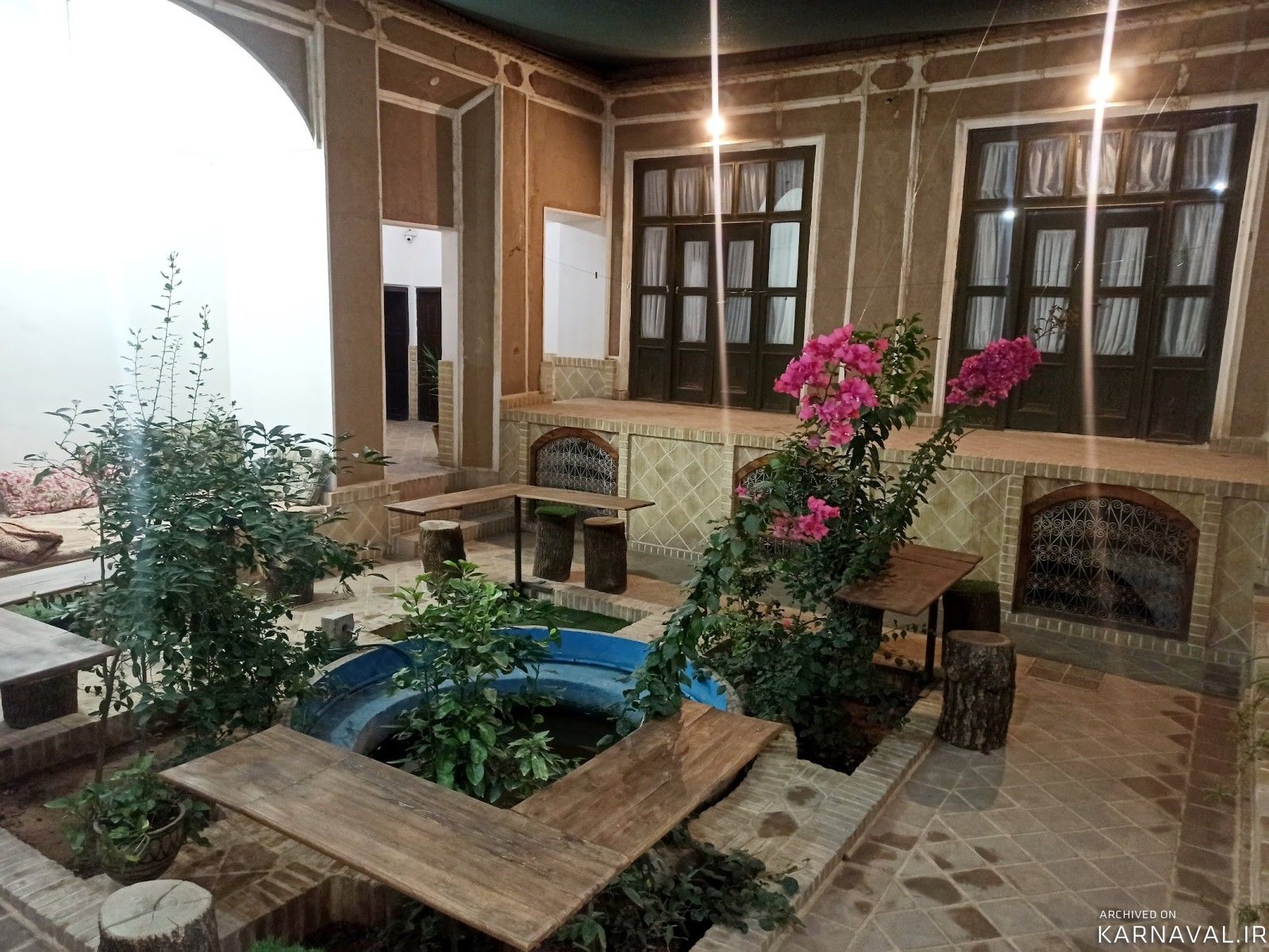 "شاخه نبات" 4 زیرزمین