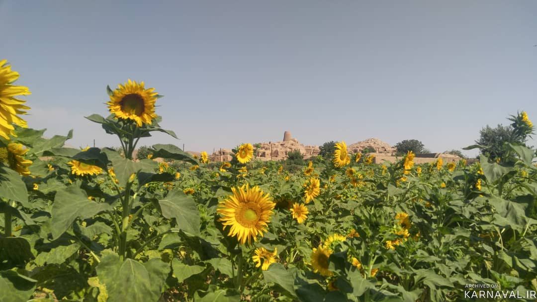 اقامتگاه بومگردی "چپیله" اتاق سنتی 4