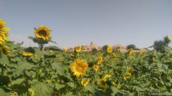 اقامتگاه بومگردی "چپیله" اتاق سنتی 4 اقامتگاه بومگردی "چپیله" اتاق سنتی 4