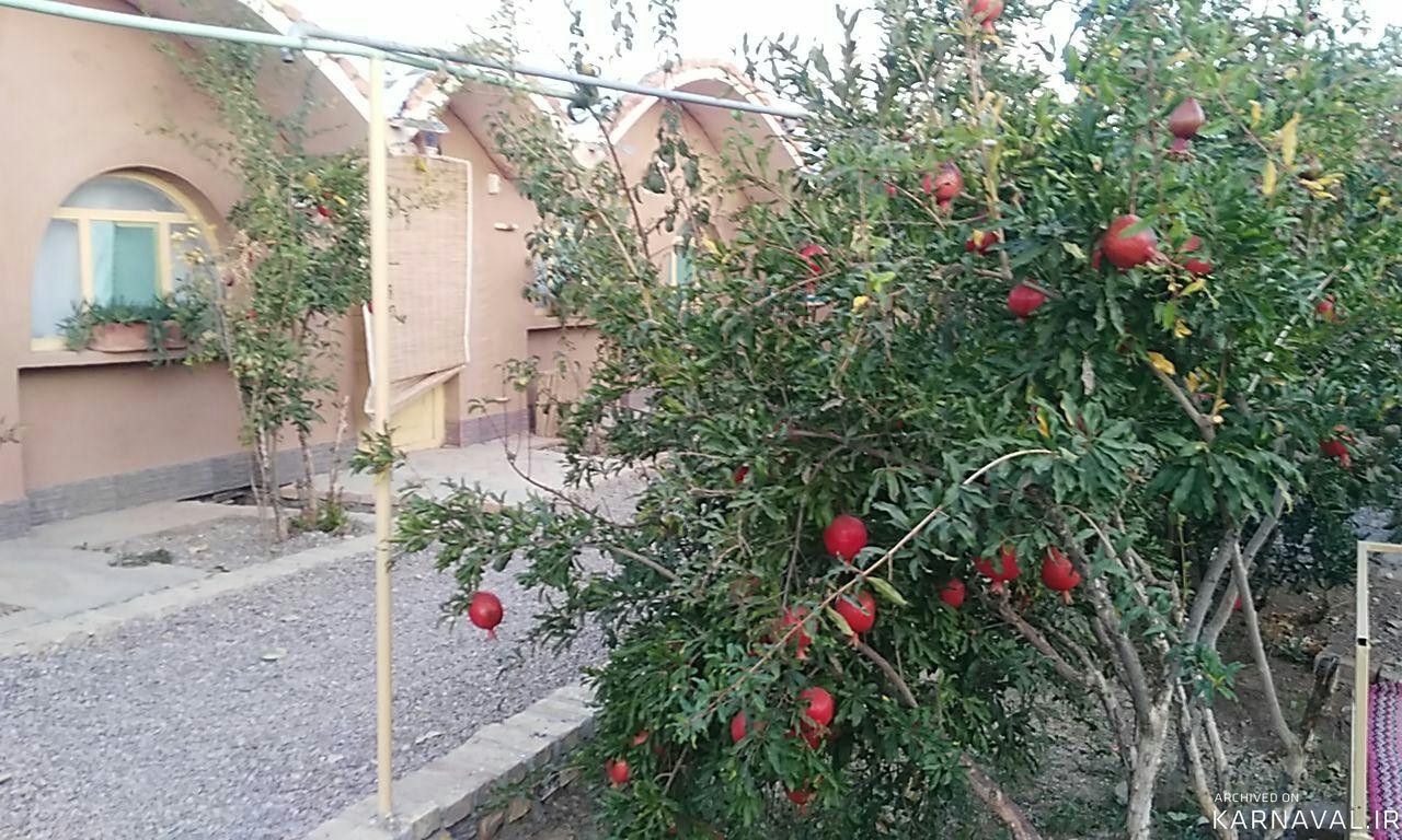 اقامتگاه بوم گردی "ثامن" سوئیت (6) اقامتگاه بوم گردی "ثامن" سوئیت (6)