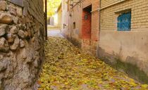 خانه گردو ( اتاق قصه ها ) خانه گردو ( اتاق قصه ها )