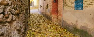 خانه گردو ( اتاق قصه ها ) خانه گردو ( اتاق قصه ها )