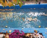 خانه گردو ( اتاق آسمان ) خانه گردو ( اتاق آسمان )