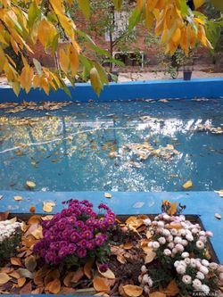 خانه گردو ( اتاق آسمان ) خانه گردو ( اتاق آسمان )