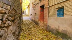 خانه گردو (اتاق نیل) خانه گردو (اتاق نیل)