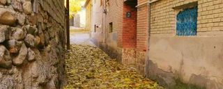 خانه گردو (اتاق نیل) خانه گردو (اتاق نیل)