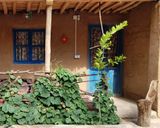 اقامتگاه بومگردی "ماهی بازان" اتاق چی گل اقامتگاه بومگردی "ماهی بازان" اتاق چی گل