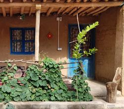 اقامتگاه بومگردی "ماهی بازان" اتاق چی گل اقامتگاه بومگردی "ماهی بازان" اتاق چی گل