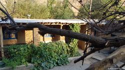 اقامتگاه بومگردی "ماهی بازان" اتاق چی گل اقامتگاه بومگردی "ماهی بازان" اتاق چی گل