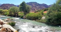 اقامتگاه بومگردی "ماهی بازان" اتاق چی گل اقامتگاه بومگردی "ماهی بازان" اتاق چی گل