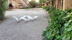 اقامتگاه بومگردی "ماهی بازان" اتاق آساره اقامتگاه بومگردی "ماهی بازان" اتاق آساره