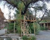 اقامتگاه بومگردی "ماهی بازان" اتاق آساره اقامتگاه بومگردی "ماهی بازان" اتاق آساره