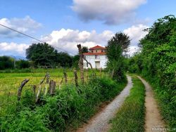 ویلا روستایی اسپیناز یک تالش ویلا روستایی اسپیناز یک تالش